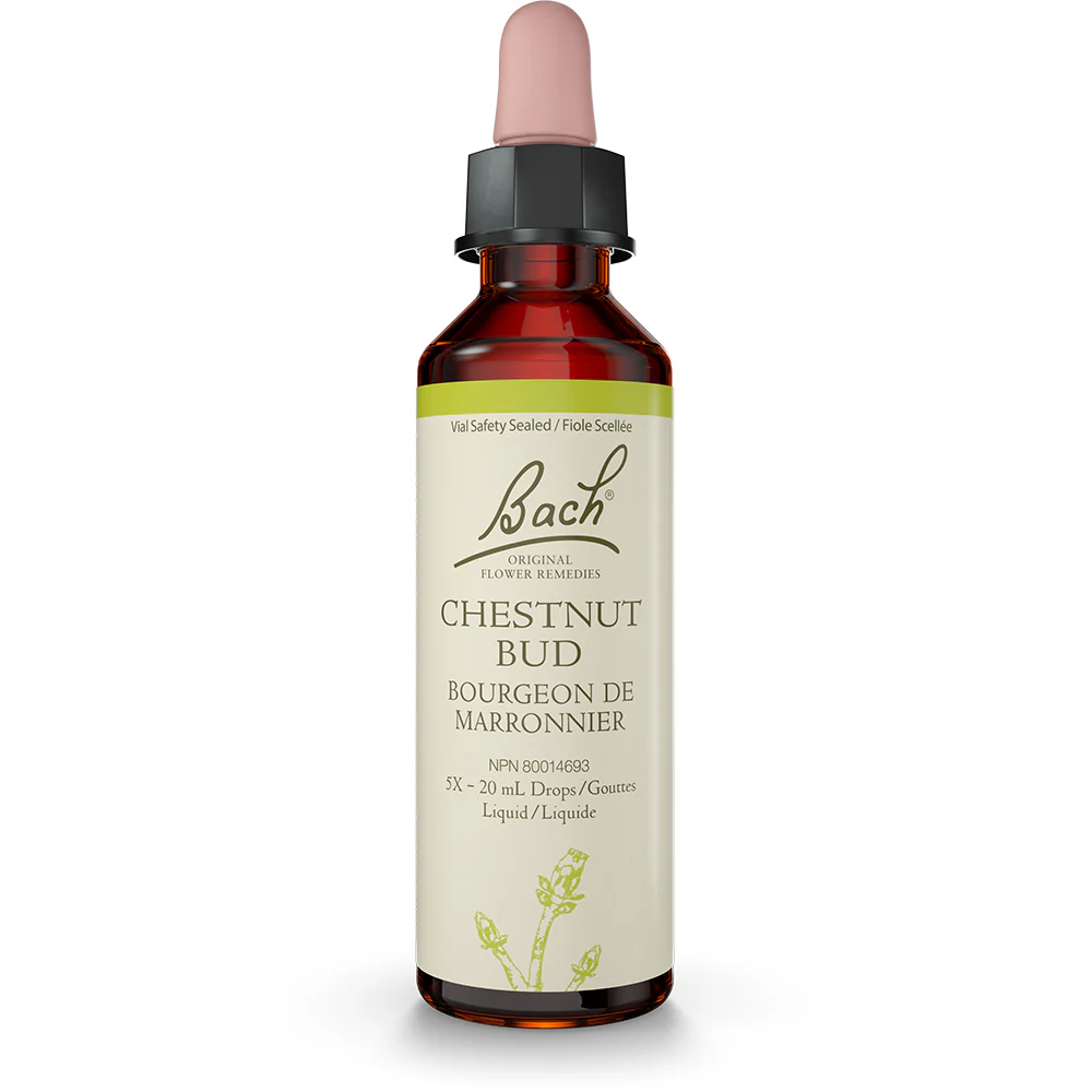 Bach - Chestnut Bud