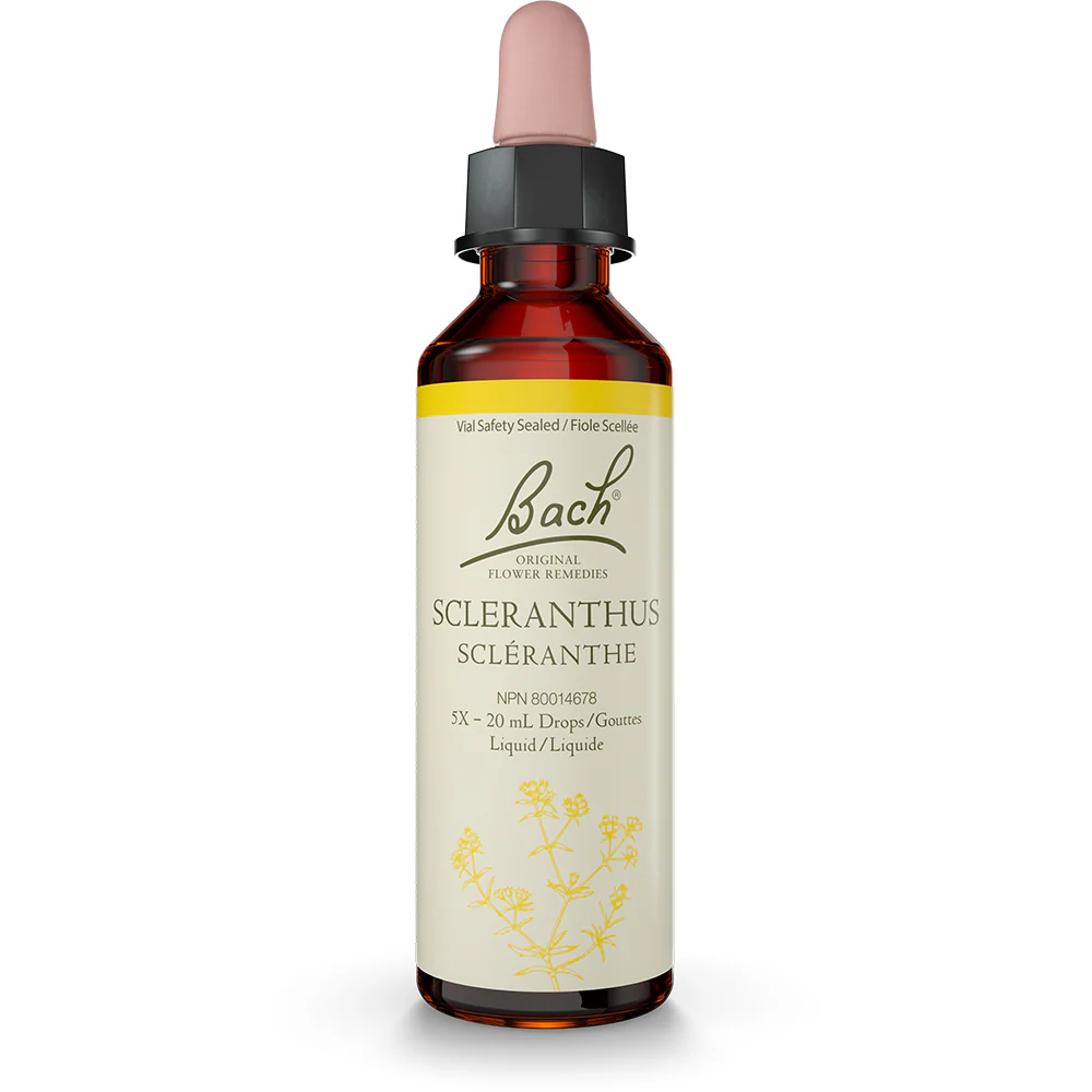 Bach - Scleranthus