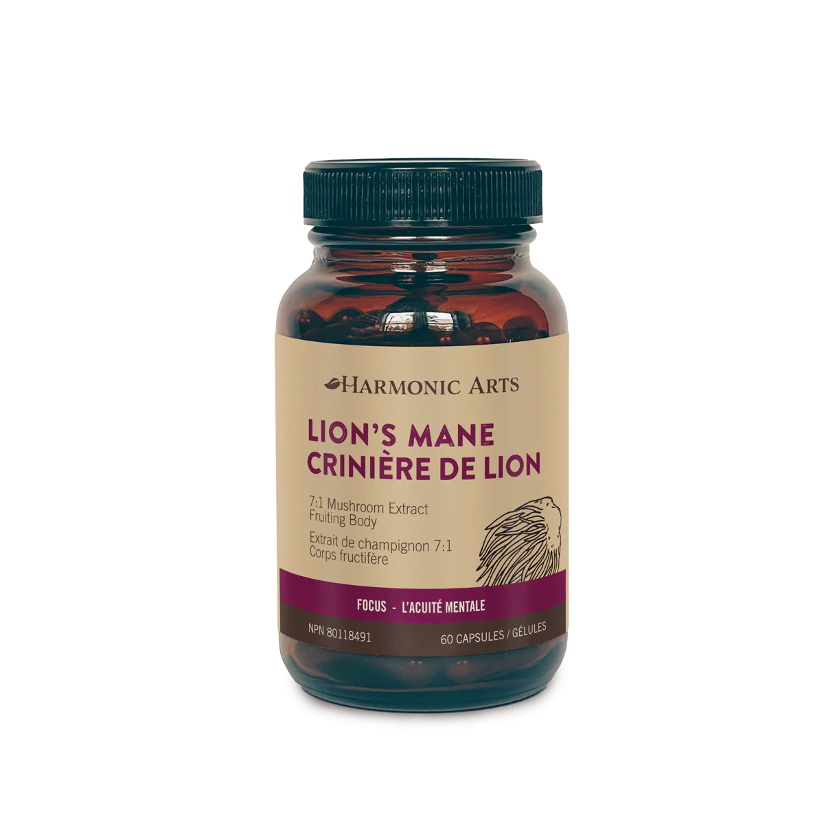 Harmonic Arts - Lion's Mane - Image 2