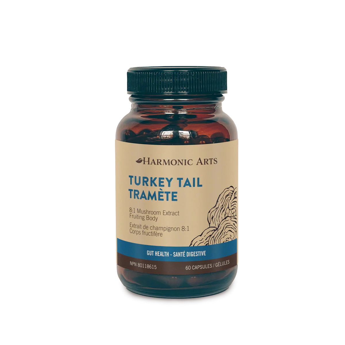 Harmonic Arts - Turkey Tail