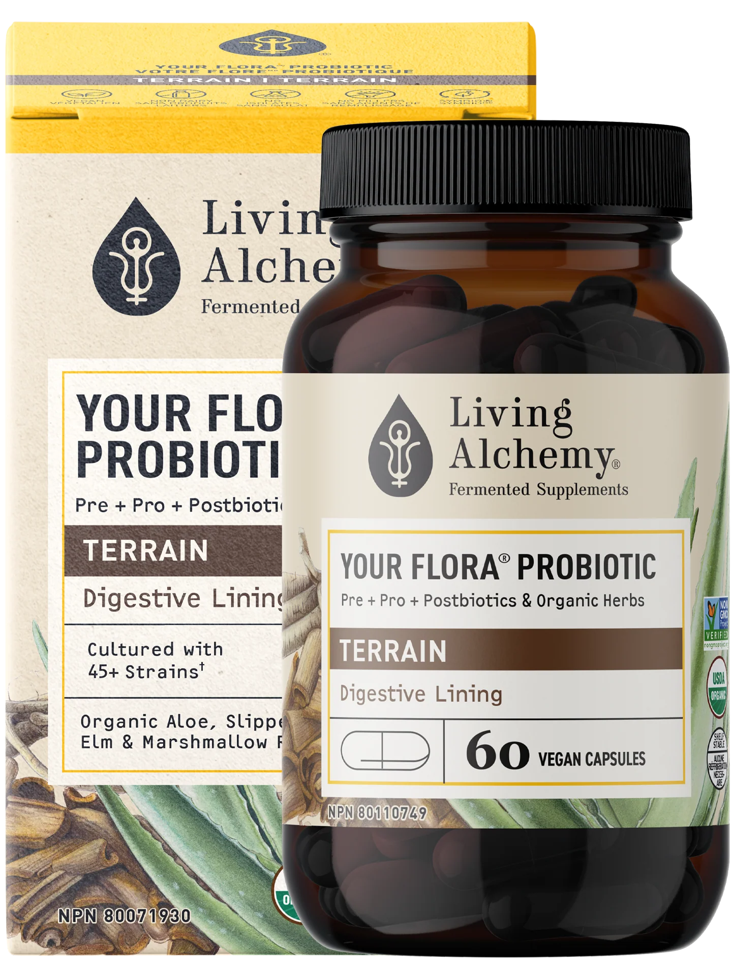Living Alchemy - Your Flora Probiotic Terrain