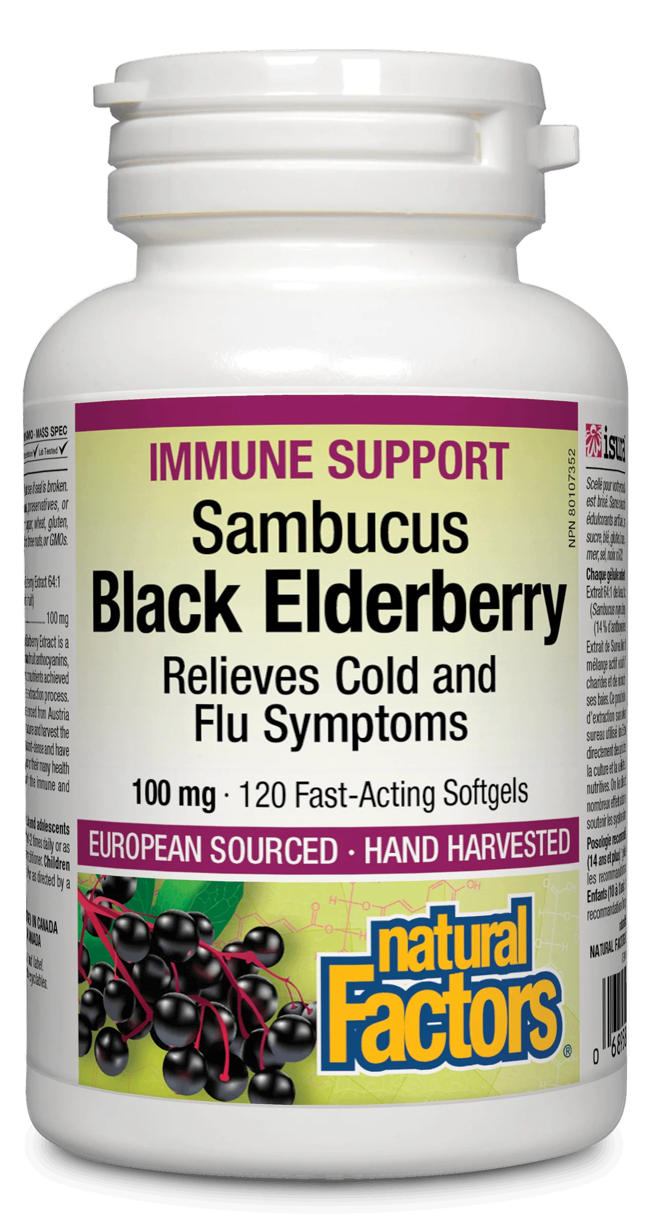 Natural Factors - Black Elderberry - Image 2