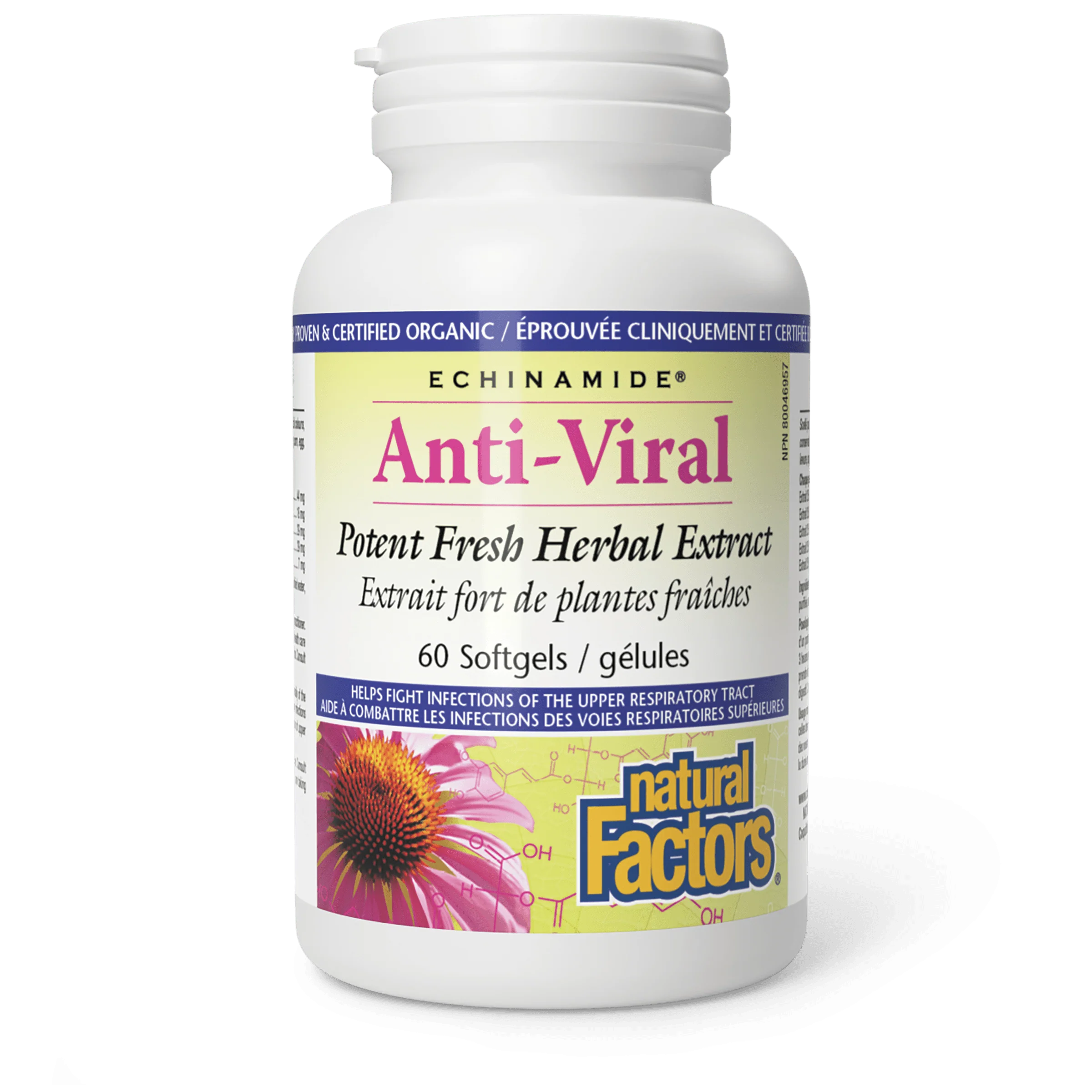 Natural Factors - Echinamide Anti-Viral - Image 3