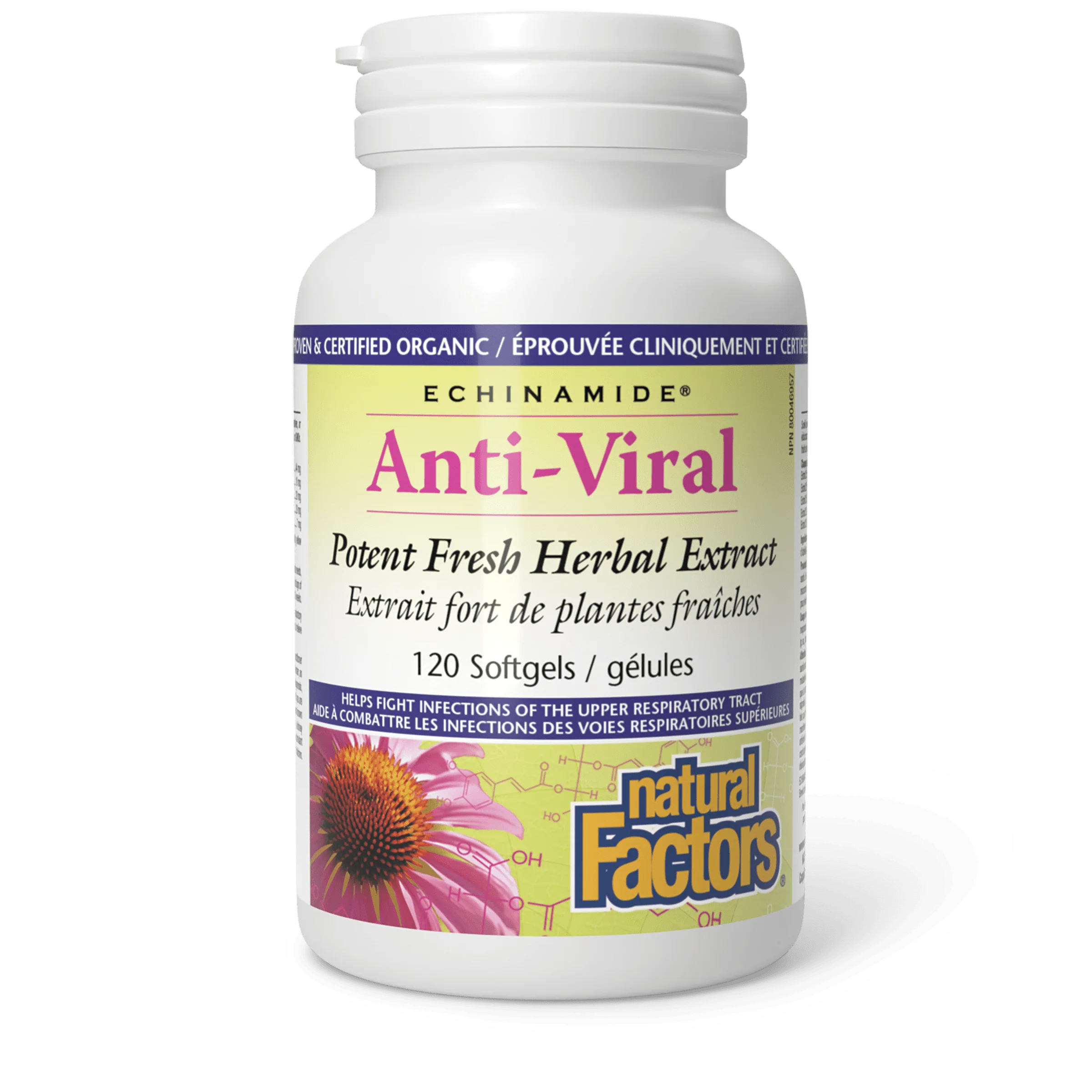 Natural Factors - Echinamide Anti-Viral - Image 4