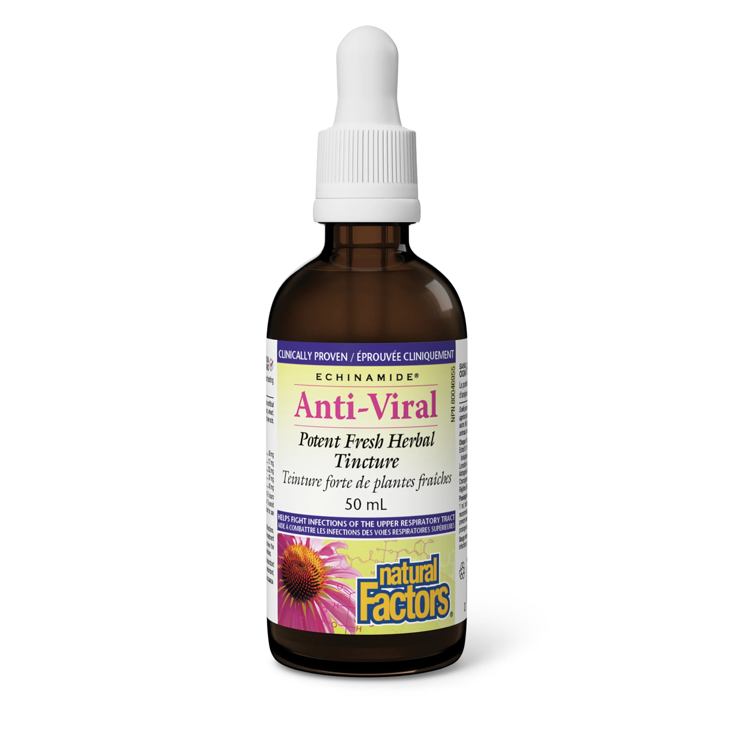 Natural Factors - Echinamide Anti-Viral