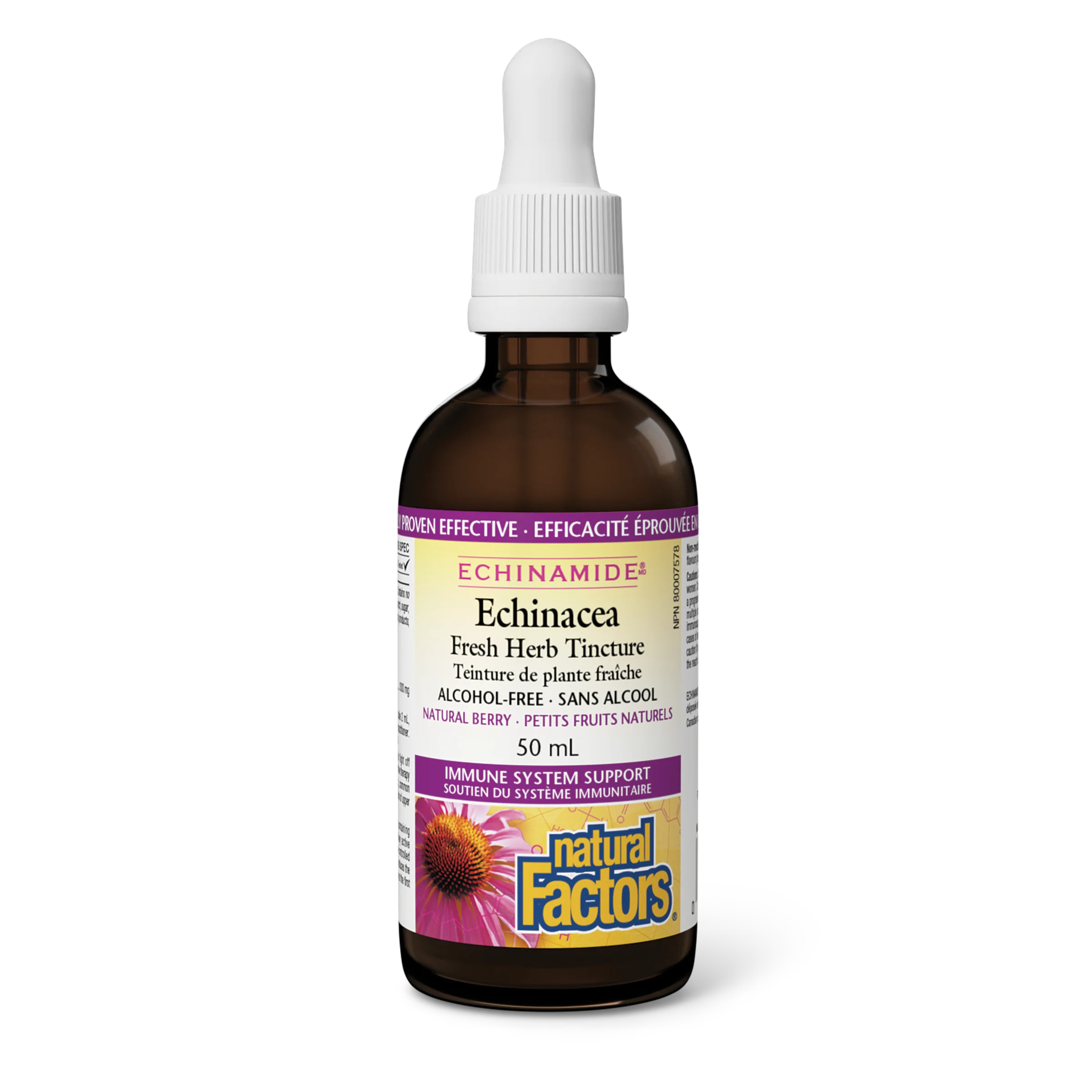Natural Factors - Echinamide Echinacea - Alcohol-Free - Natural Berry - Image 2