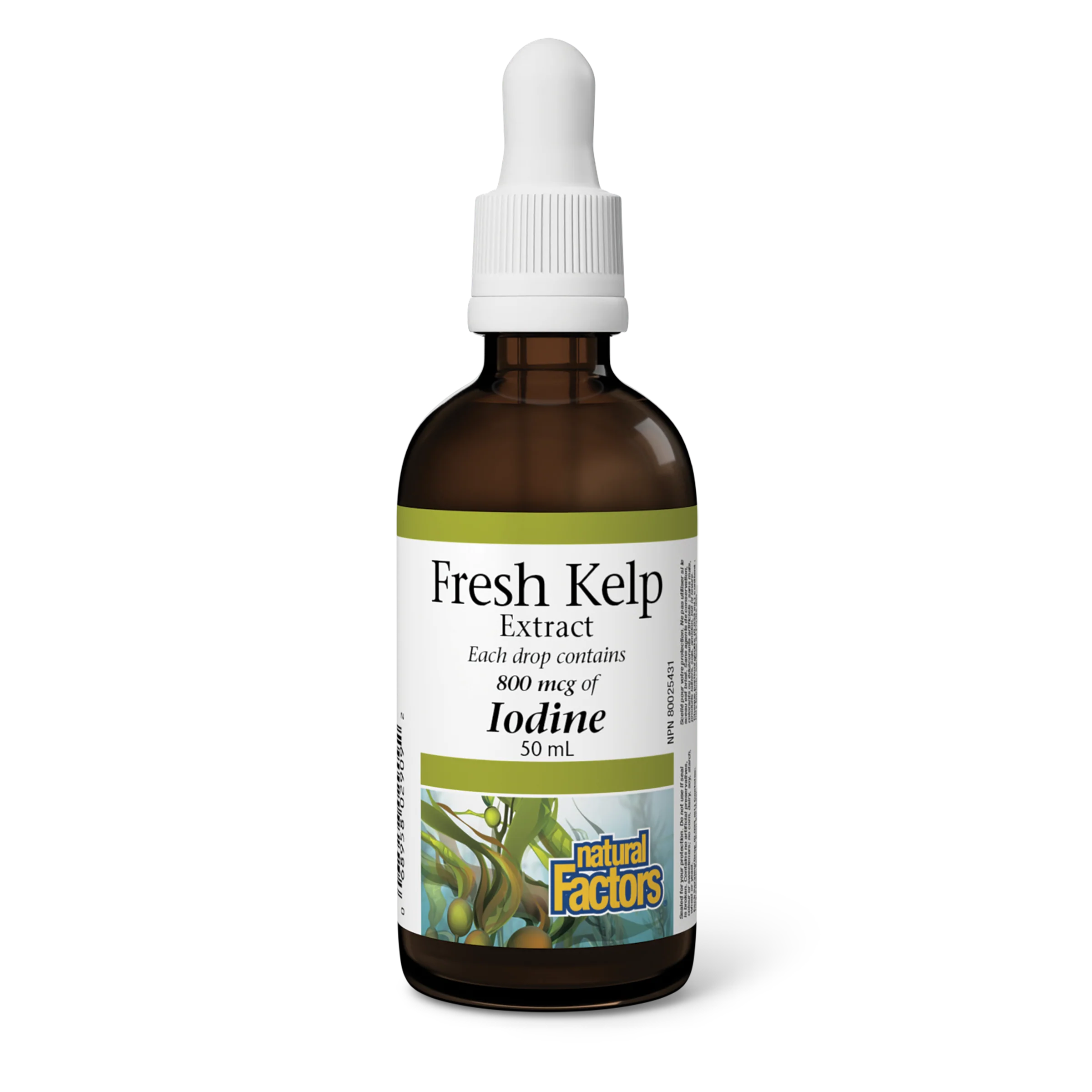 Natural Factors - Fresh Kelp Extract