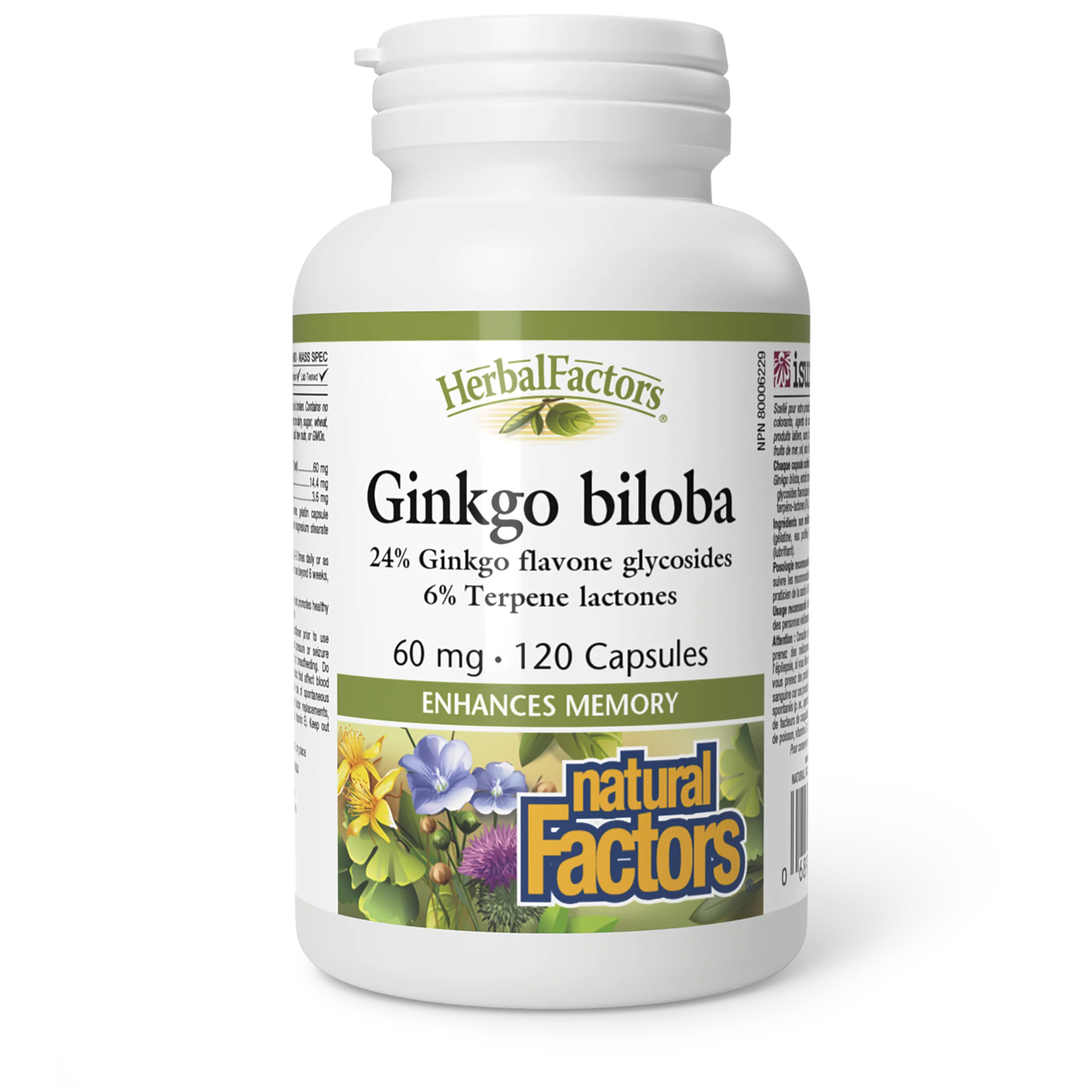 Natural Factors - Ginkgo Bilboa