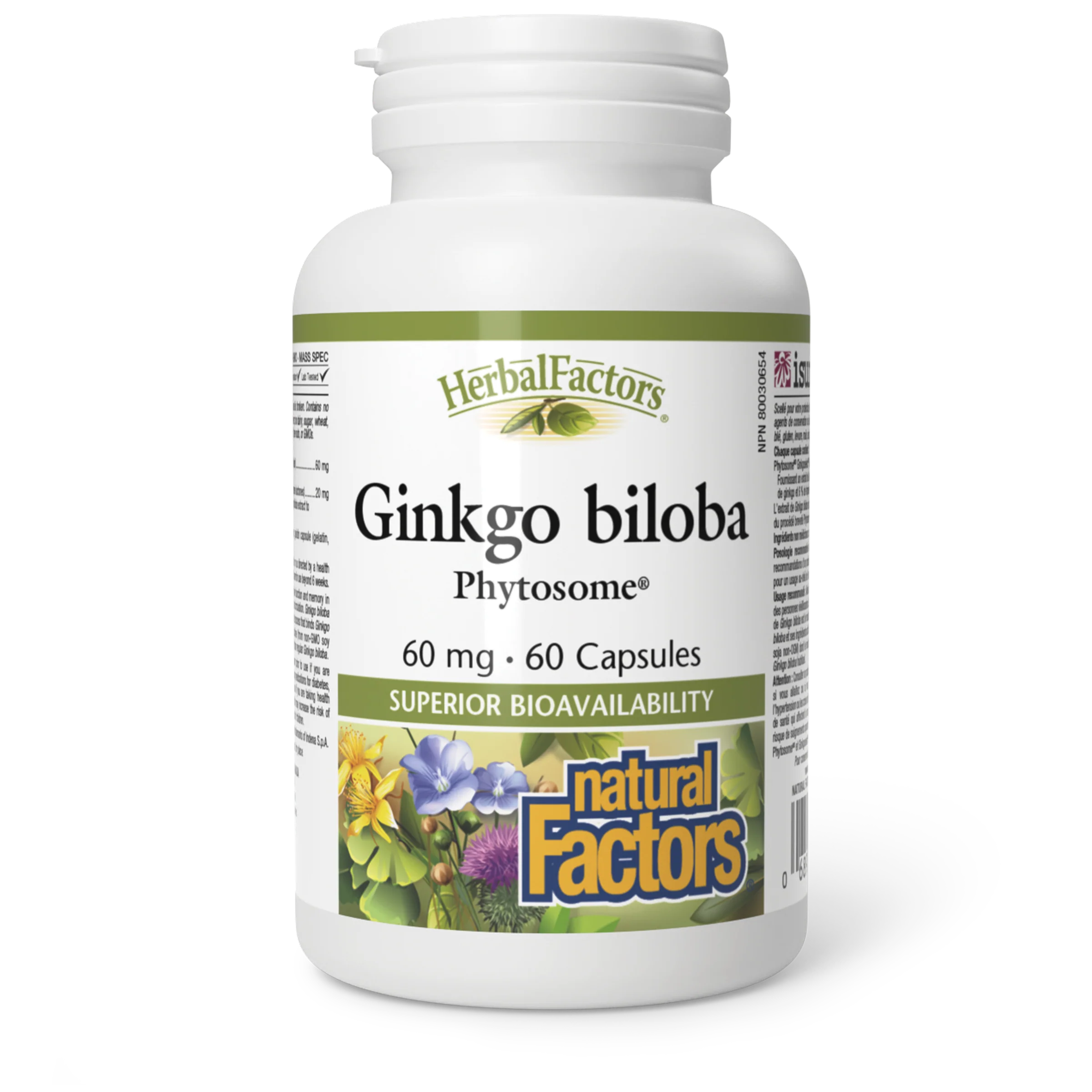 Natural Factors - Ginkgo Biloba Phytosome - Image 2
