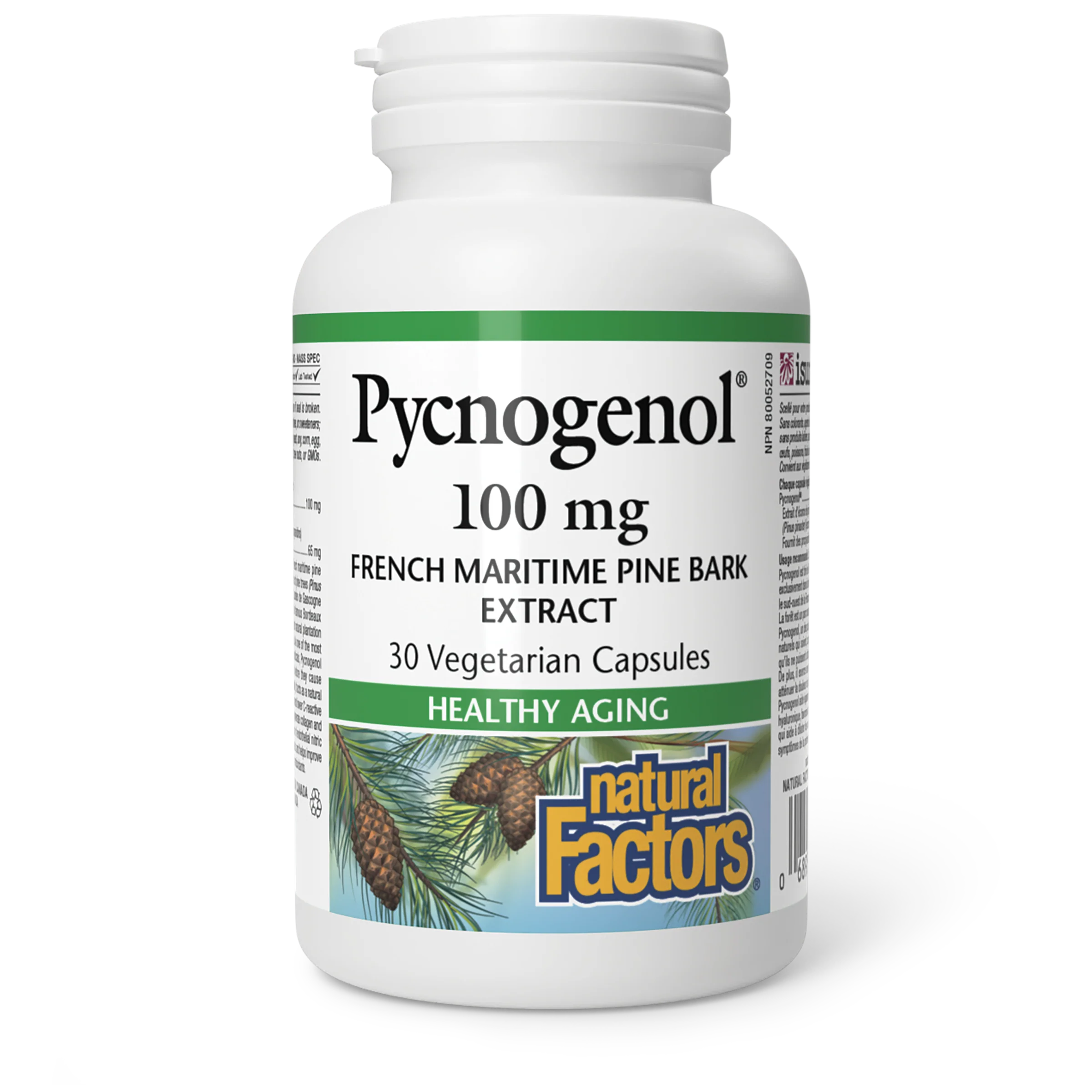 Natural Factors - Pycnogenol - 100 mg - Image 2