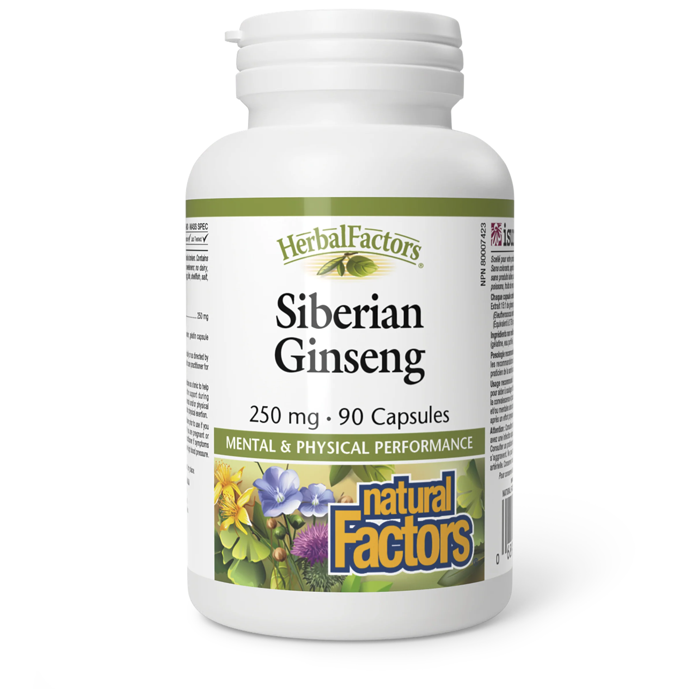 Natural Factors - Siberian Ginseng