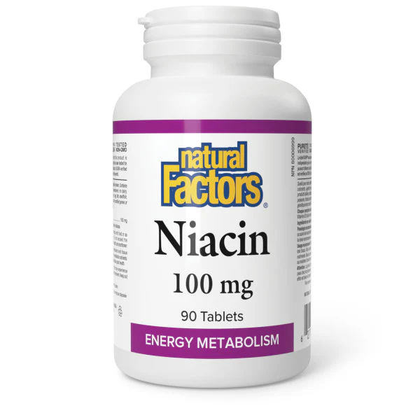 Natural Factors - Vitamin B3 Niacin - 100 mg