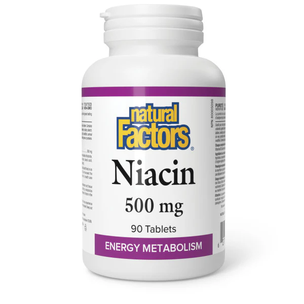 Natural Factors - Vitamin B3 Niacin - 500 mg