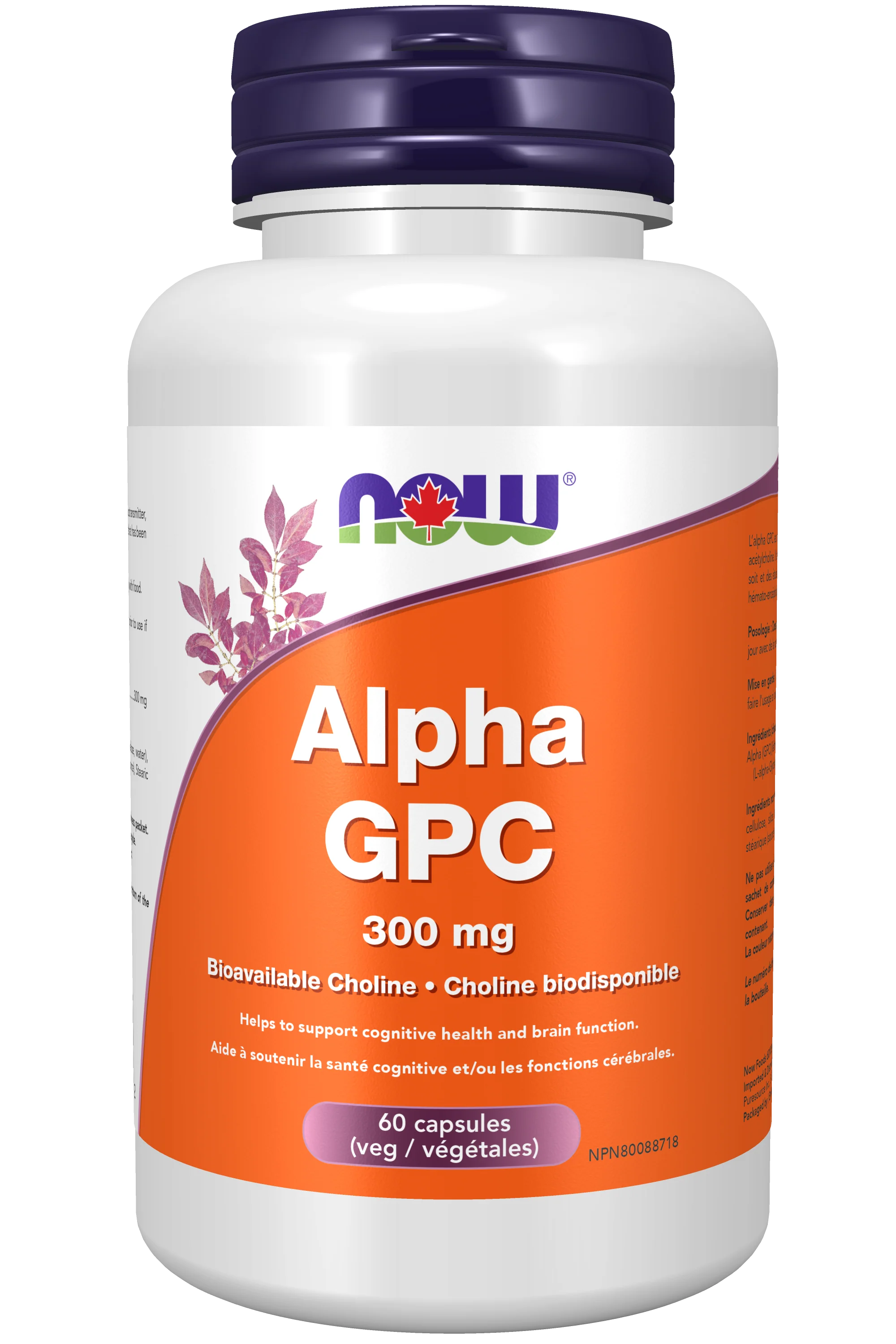 NOW - Alpha GPC