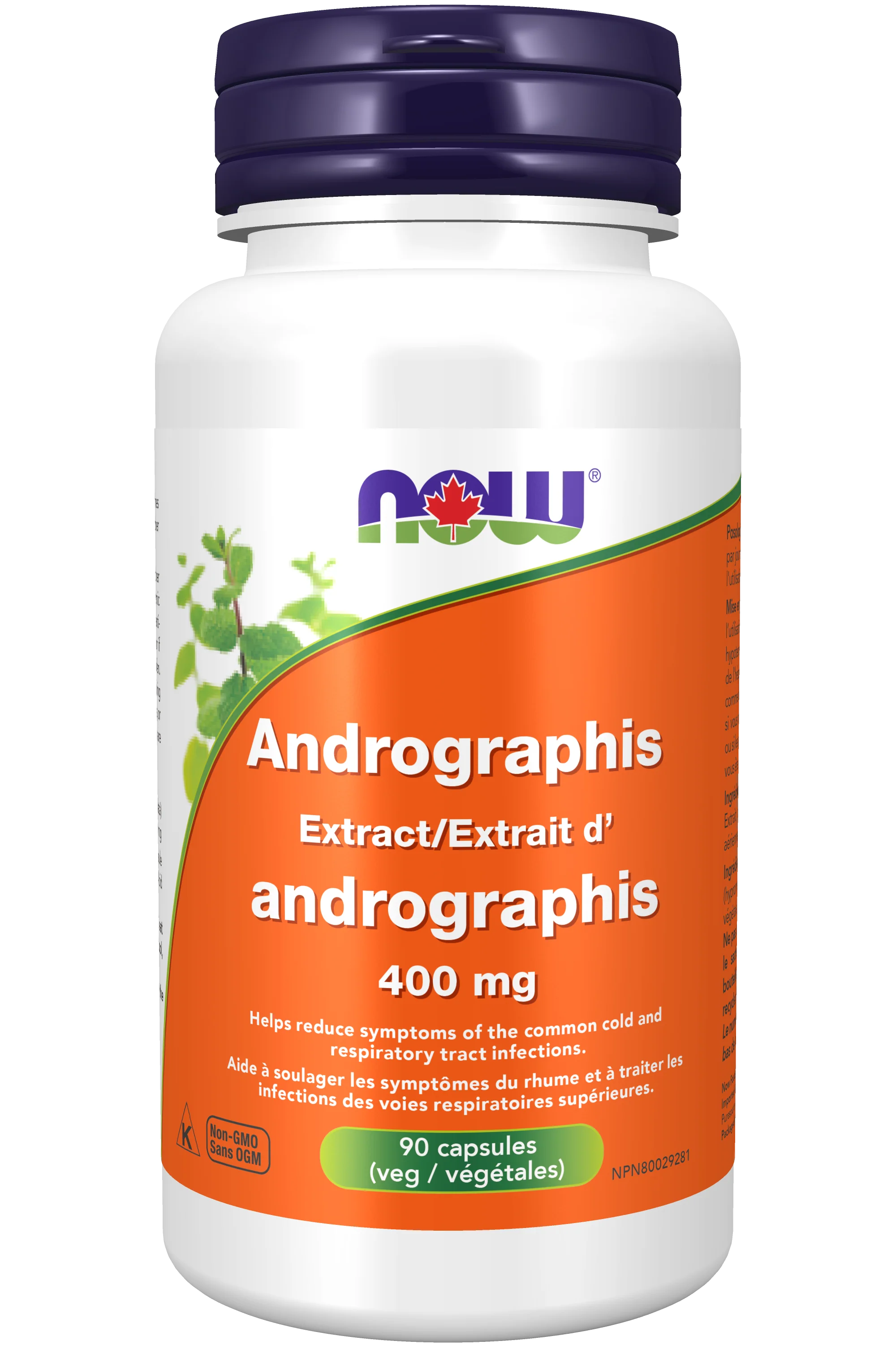 NOW - Andrographis Extract - 400 mg