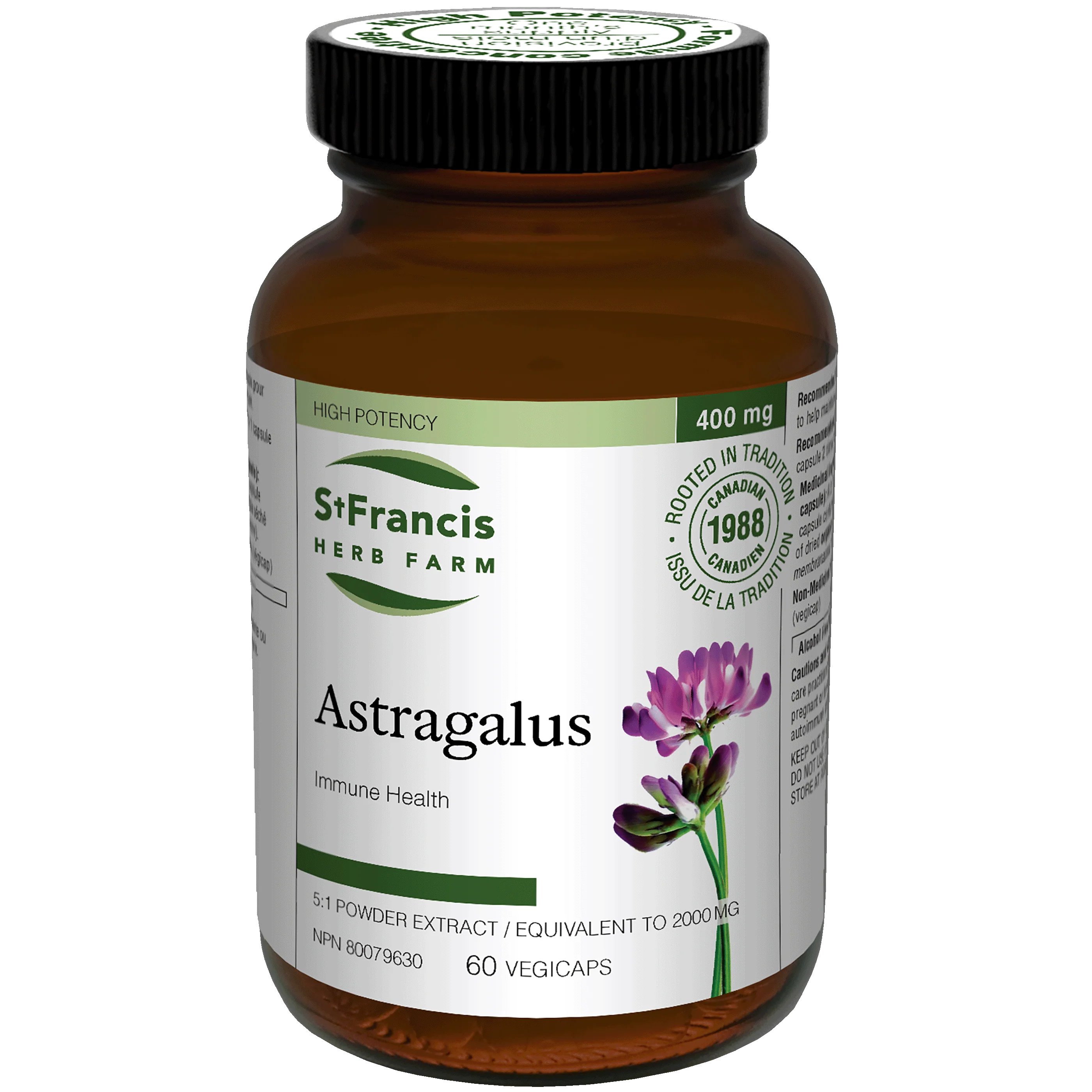 St. Francis Herb Farm - Astragalus