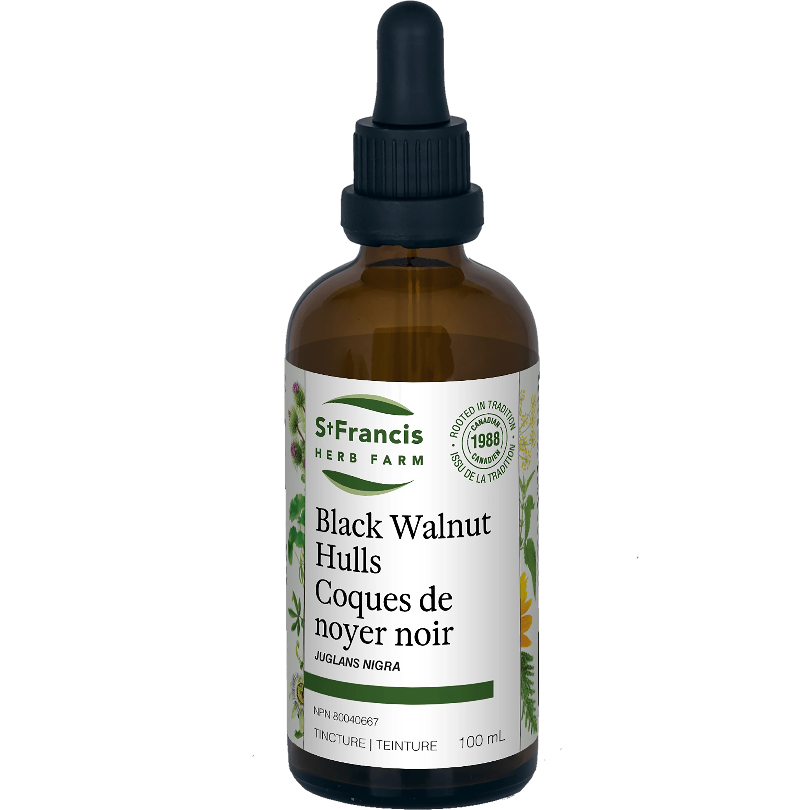 St. Francis Herb Farm - Black Walnut Hulls